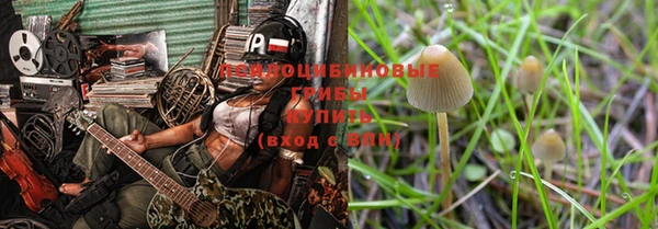 ALPHA PVP Богданович