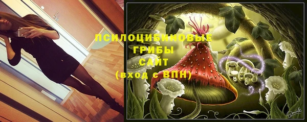 ALPHA PVP Богданович